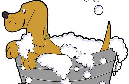 Авиатор акулина Pin Up Официальный журнал Aviator Пин Ап