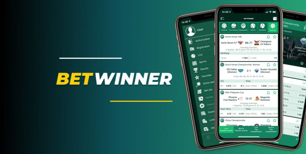 Getting The Best Software To Power Up Your https://betwinner-luckyjet.com/